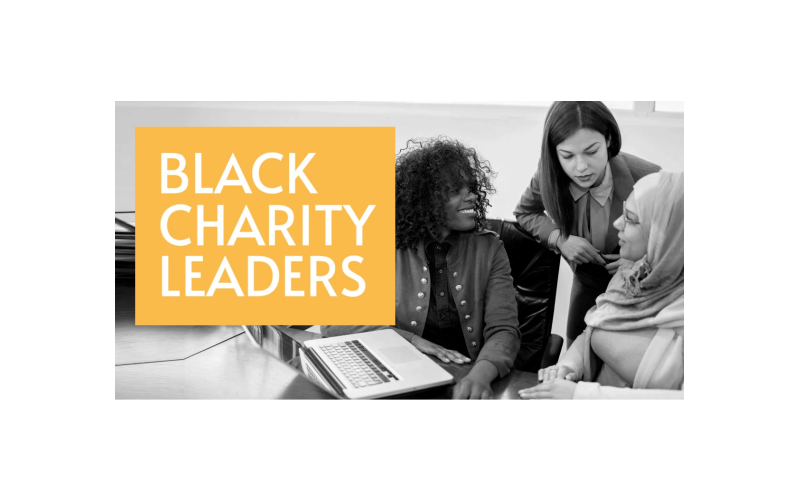 http://Black%20Charity%20Leaders